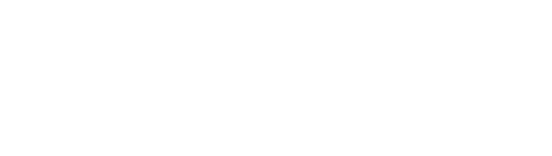 Dynamic Constructors